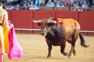 toro que mato a manolete