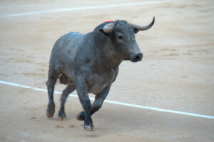 Encastes-de-toros
