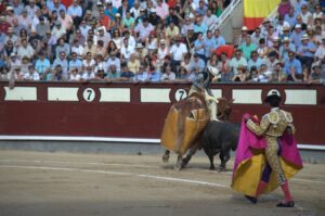 picadores-de-toros