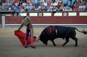 primera-corrida-de-toros-en-españa