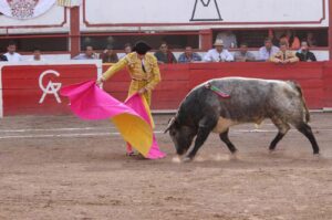 toreros-que-empiezan-con-la-v