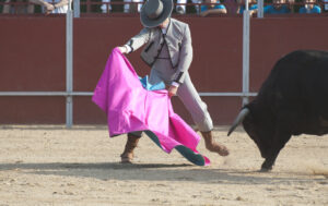 fiesta-de-toros