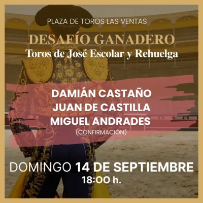 Domingo 14 Septiembre - Toros