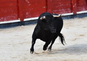 lances-con-el-capote