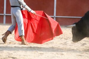 encierro-toros